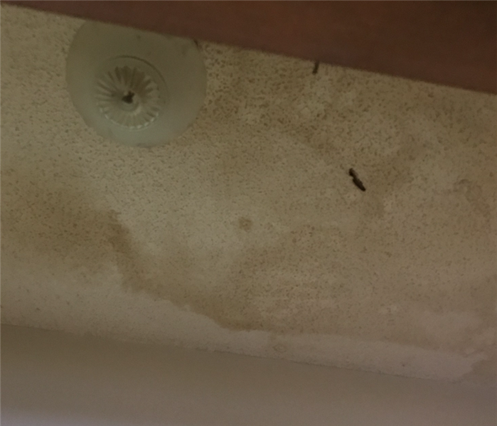Textured ceiling with apparent water damage from a leak around light fixture.